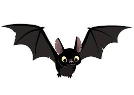 a bat